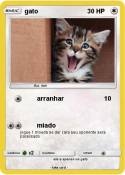 gato