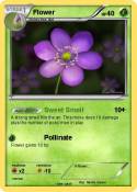 Flower