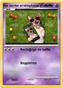 fox terrier et