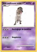 irish wolfhound