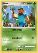 Steve 2