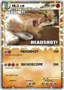 MLG cat