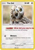 The Owl