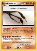 Bees Knees