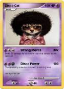 Disco Cat