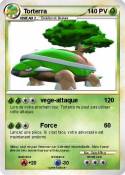 Torterra