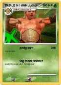 TRIPLE H / HHH