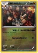 THE SHIELD