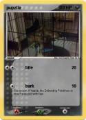 pupzila