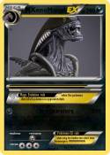 XenoMorph