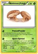 Mushroom (Fungi