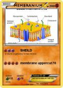 MEMBRANIUM