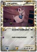 chat guitare