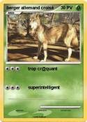 berger allemand