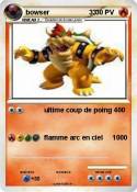 bowser 33
