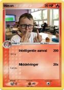 Mason