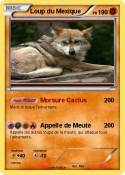 Loup du Mexique