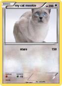 my cat mookie