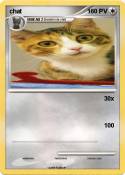 chat