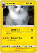 Catachu