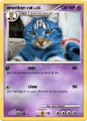 amerikan cat
