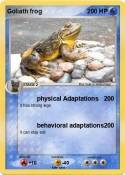 Goliath frog