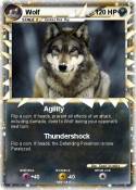 Wolf