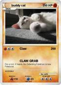 buddy cat