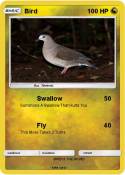 Bird