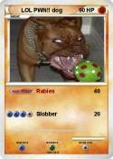 LOL PWN!! dog