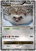 hedgehog