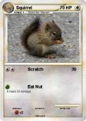 Squirrel