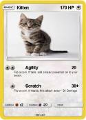 Kitten