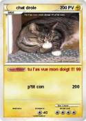 chat drole