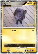 dog