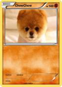 ChowChow
