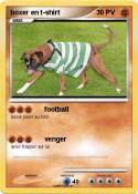 boxer en