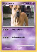 dogo canario