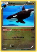 tilikum