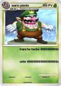 wario plante