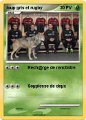 loup gris et
