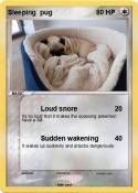Sleeping pug