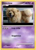 chow-chow