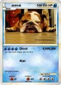 animal 500