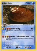 Asian Clam