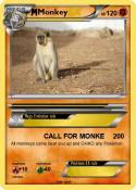 Monkey