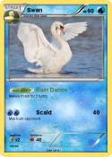 Swan