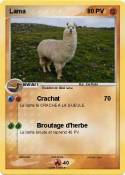 Lama