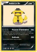 Amine Le Bo