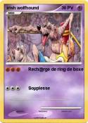 irish wolfhound